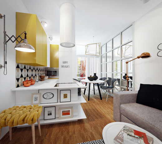 50 Блестящих идей для однокомнатной квартиры свободной планировки фото